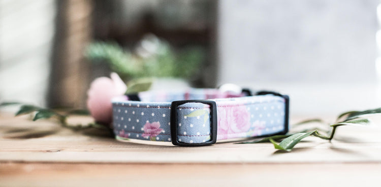 Dog Collar, Girl Dog Collar, Girly Dog Collar, Flower Dog Collar, Dog Collar Flower, Collar Flower, Pink Collar Flower