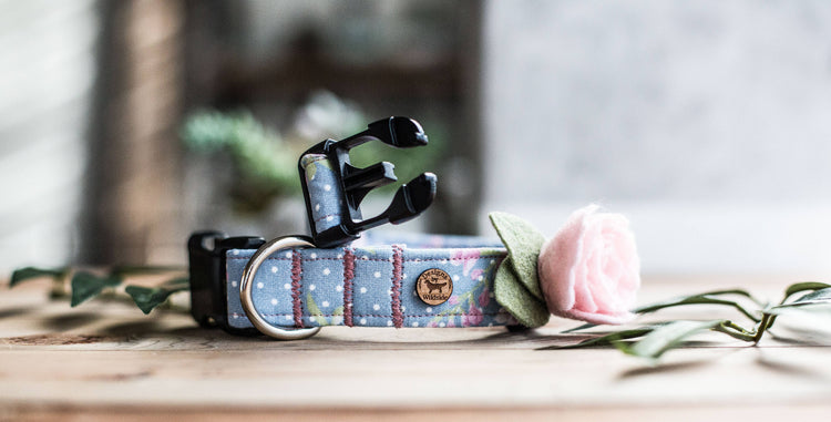 Dog Collar, Girl Dog Collar, Girly Dog Collar, Flower Dog Collar, Dog Collar Flower, Collar Flower, Pink Collar Flower