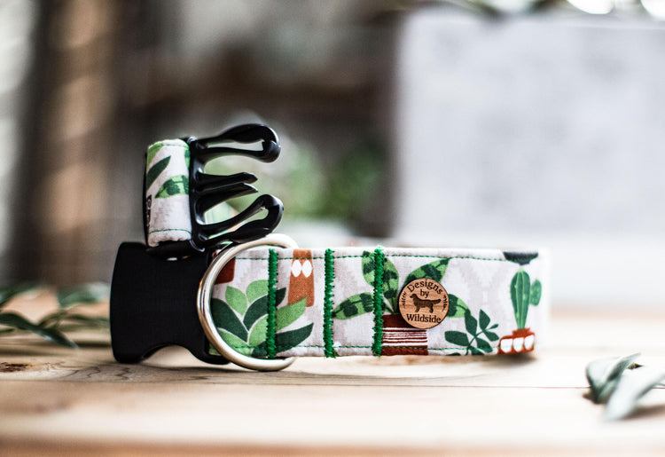 Dog Collar, Girl Dog Collar, Boy Dog Collar, Succulent Dog Collar, Cactus Dog Collar, Cat Collar