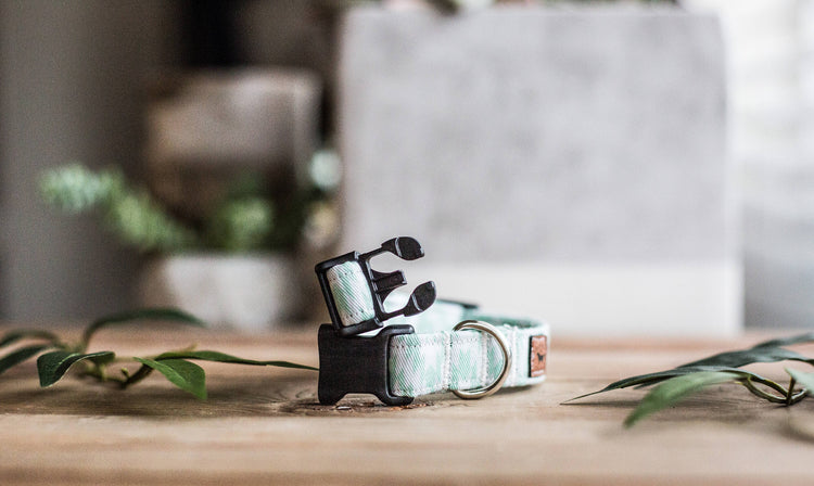 Dog Collar | Mint Dog Collar | Tribal Dog Collar | Puppy Dog Collar | Cat Collar |Girl Dog Collar | Boy Dog Collar | Aztec Collar