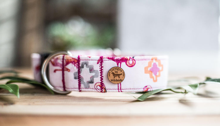 Dog Collars, Flamingo Dog Collar, Girl Dog Color, Summer Dog Collar, Southwest Dog Collar, Aztec Dog Collar
