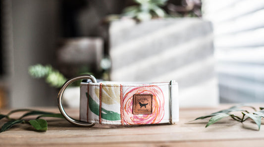 Dog Collar | Floral Dog Collar | Flower Dog Collar | Puppy Dog Collar | Cat Collar |Girl Dog Collar | Girly Dog Collar