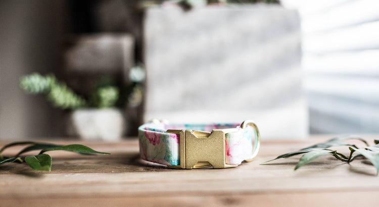 Dog Collar | Floral Dog Collar | Flower Dog Collar | Puppy Dog Collar | Cat Collar |Girl Dog Collar | Girly Dog Collar