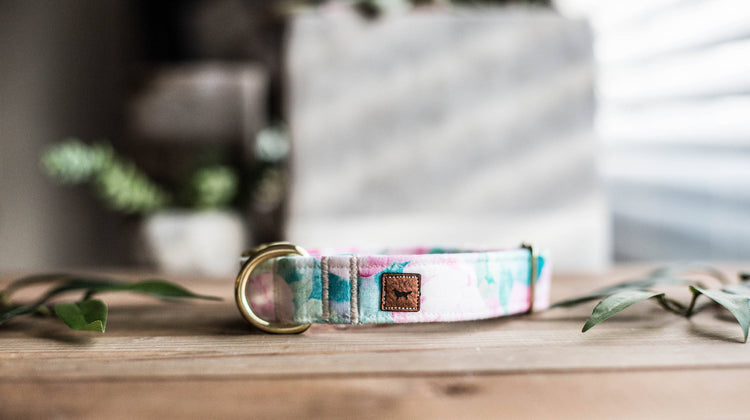 Dog Collar | Floral Dog Collar | Flower Dog Collar | Puppy Dog Collar | Cat Collar |Girl Dog Collar | Girly Dog Collar