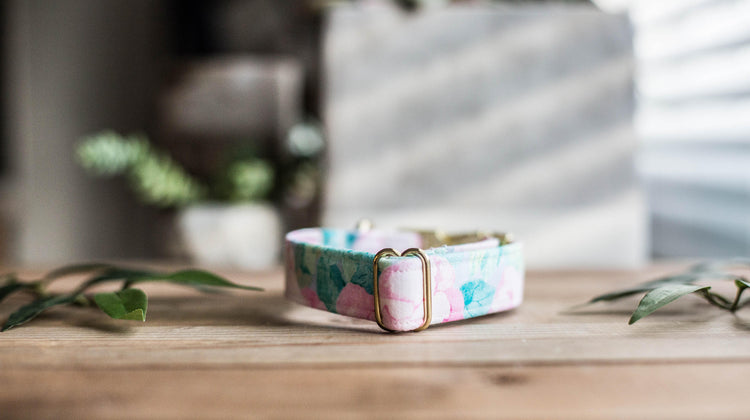 Dog Collar | Floral Dog Collar | Flower Dog Collar | Puppy Dog Collar | Cat Collar |Girl Dog Collar | Girly Dog Collar