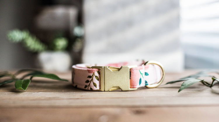 Dog Collar | Floral Dog Collar | Flower Dog Collar | Puppy Dog Collar | Cat Collar |Girl Dog Collar | Girly Dog Collar
