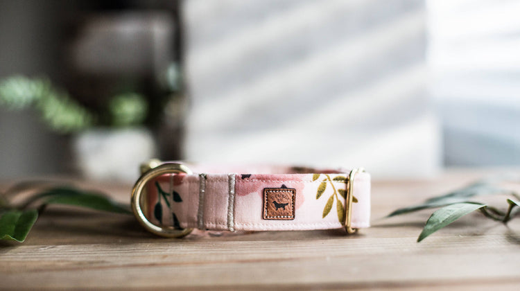 Dog Collar | Floral Dog Collar | Flower Dog Collar | Puppy Dog Collar | Cat Collar |Girl Dog Collar | Girly Dog Collar