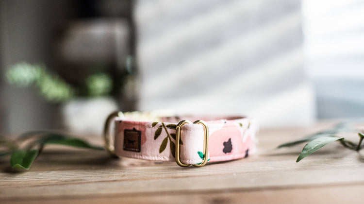 Dog Collar | Floral Dog Collar | Flower Dog Collar | Puppy Dog Collar | Cat Collar |Girl Dog Collar | Girly Dog Collar