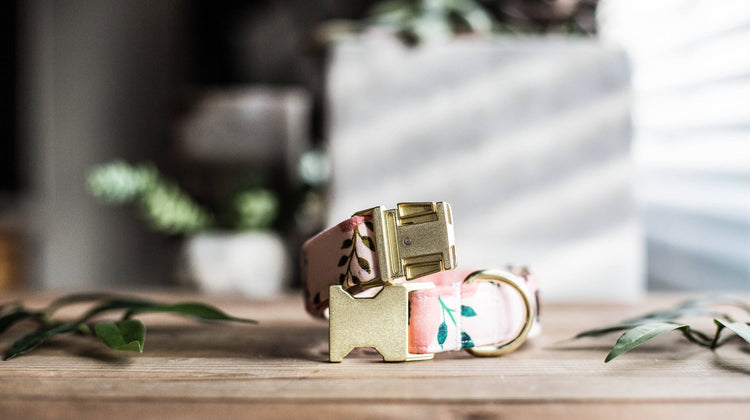 Dog Collar | Floral Dog Collar | Flower Dog Collar | Puppy Dog Collar | Cat Collar |Girl Dog Collar | Girly Dog Collar
