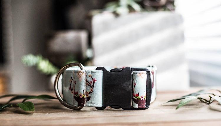 Dog Collar | Boho Dog Collar | Floral Dog Collar | Flower Dog Collar | Deer Dog Collar | Cat Collar | Girl Dog Collar | Girly Dog Collar