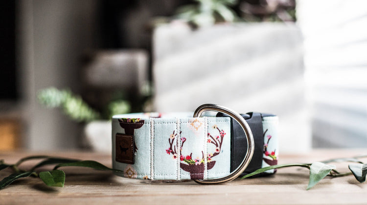 Dog Collar | Boho Dog Collar | Floral Dog Collar | Flower Dog Collar | Deer Dog Collar | Cat Collar | Girl Dog Collar | Girly Dog Collar