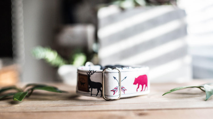 Dog Collar | Boy Dog Collar | Adventure Dog Collar | Woodland Dog Collar | Bear Dog Collar | Deer Dog Collar | Wolf Collar