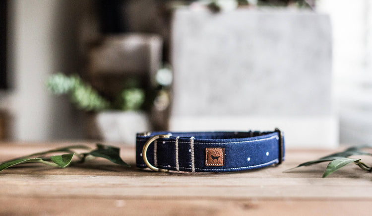 Boy Dog Collar | Dog Collar | Blue Dog Collar | Navy Blue Dog Collar | Puppy Collar | Polka Dot Dog Collar | Brass Buckle | Pet Collar