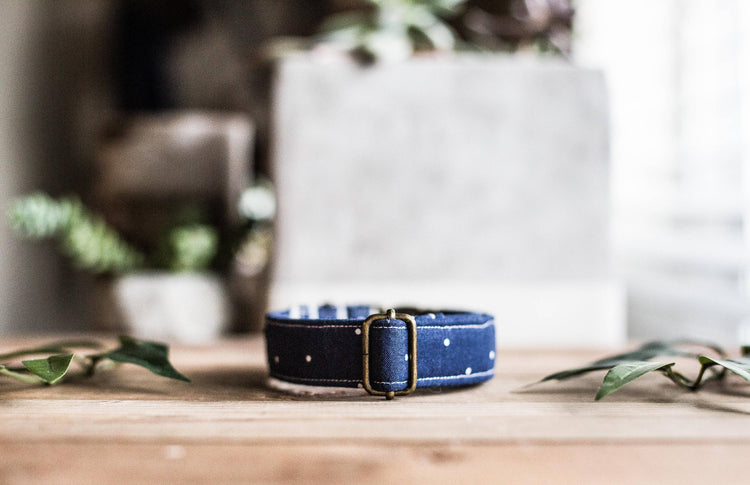 Boy Dog Collar | Dog Collar | Blue Dog Collar | Navy Blue Dog Collar | Puppy Collar | Polka Dot Dog Collar | Brass Buckle | Pet Collar