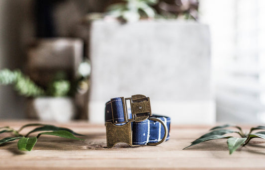 Boy Dog Collar | Dog Collar | Blue Dog Collar | Navy Blue Dog Collar | Puppy Collar | Polka Dot Dog Collar | Brass Buckle | Pet Collar