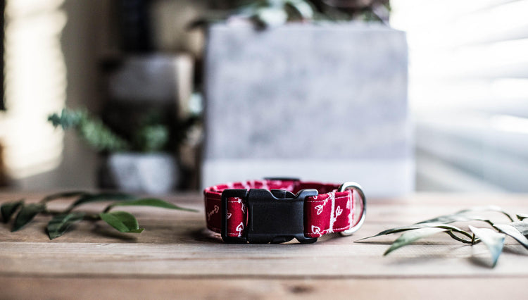 Dog Collar, Boy Dog Collar, ValentineDog Collar, Puppy Collar, Heart Collar,  Bowtie Collar, Collar with Bow Tie, Arrow Collar, Blue Collar