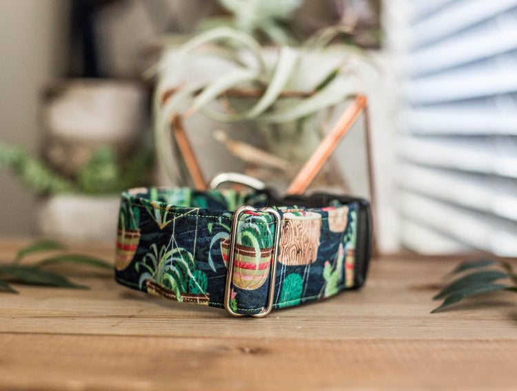 Dog Collar | Succulent Dog Collar | Cactus Dog Collar | Boho Dog Collar | Plants Dog Collar | Cat Collar | Girl Dog Collar | Boy Dog Collar