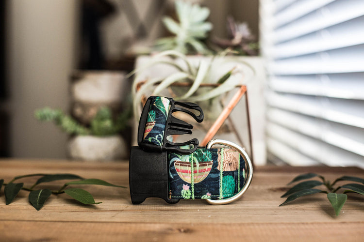 Dog Collar | Succulent Dog Collar | Cactus Dog Collar | Boho Dog Collar | Plants Dog Collar | Cat Collar | Girl Dog Collar | Boy Dog Collar