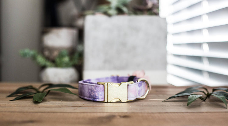 Dog Collar | Floral Dog Collar | Collar Flower Dog Collar | Pink Dog Collar |Puppy Dog Collar | Cat Collar | Girl Dog Collar