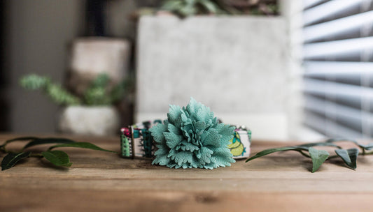 Dog Collar | Succulent Dog Collar | Cactus Dog Collar  | Collar Flower | Dog Collar Flower | Boy Dog Collar | Cat Collar | Puppy Collar