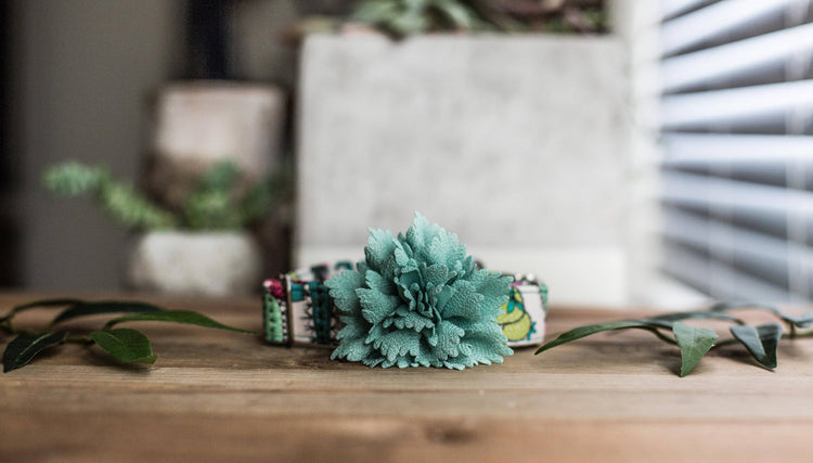 Dog Collar | Succulent Dog Collar | Cactus Dog Collar  | Collar Flower | Dog Collar Flower | Boy Dog Collar | Cat Collar | Puppy Collar