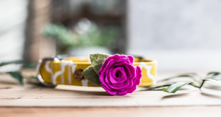 Dog Collar Flower Collar Flower For Dogs Dog Collar Collar Flower Wedding Flowers Pet Accessories Floral Dog Collar Girl Dog Collar