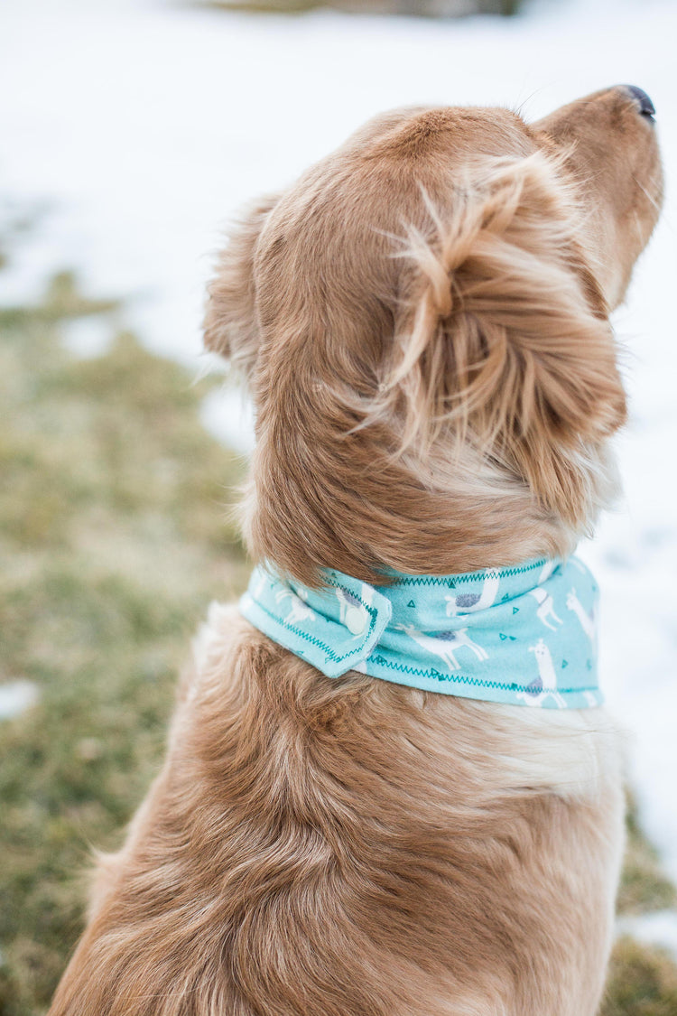 Dog Bandana Dog Collar Over The Collar Bandana Snap On Bandana Boy Dog Bandana Girl Dog Bandana Cute Dog Bandana Pet Accessories Pet Bandana