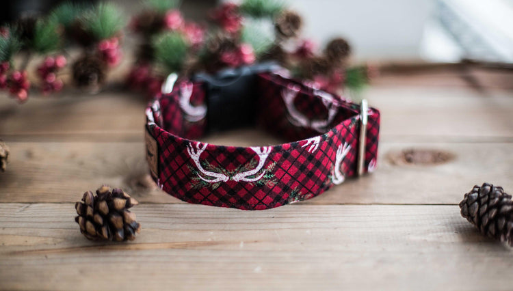 The Vixen - 1" and 1.5" Width, Christmas Plaid Dog Collar, Christmas Dog Collar, Holiday Gifts For Dogs Lovers, Dog Gifts, Holiday Gifts