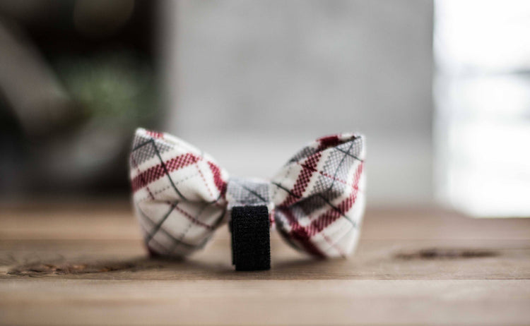 The Klaus- Christmas Dog Bow Tie, Holiday Pet Bow Tie, Plaid Bowtie , Christmas Plaid Dog Bow Tie, Holiday Gifts for Pet Lovers
