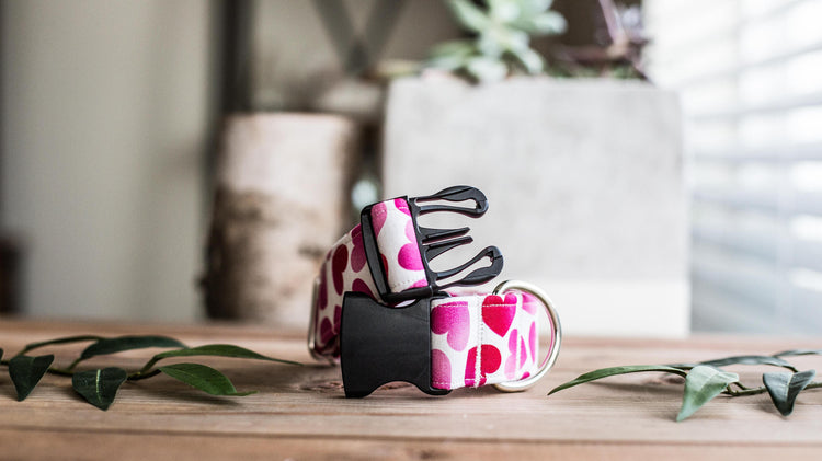 Valentine Dog Collar | Dog Collar | Pink Dog Collar  | Hearts Dog Collar