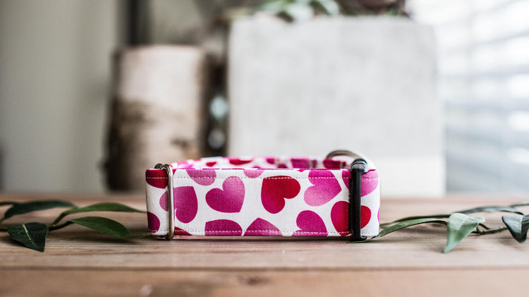 Valentine Dog Collar | Dog Collar | Pink Dog Collar  | Hearts Dog Collar