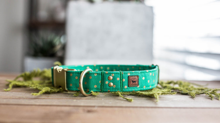 Dog Collar | St. Patties Dog Collar | St. Patrick's Dog Collar | Girl Dog Collar | Green Dog Collar | Boy Dog Collar | Gold Dog Collar