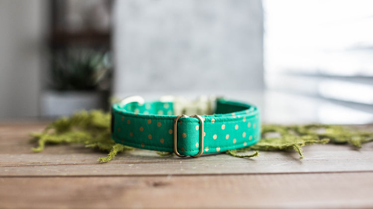 Dog Collar | St. Patties Dog Collar | St. Patrick's Dog Collar | Girl Dog Collar | Green Dog Collar | Boy Dog Collar | Gold Dog Collar