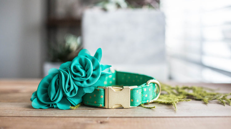 Dog Collar | St. Patties Dog Collar | St. Patrick's Dog Collar | Girl Dog Collar | Green Dog Collar | Boy Dog Collar | Gold Dog Collar