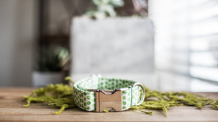 Dog Collar | St. Patties Dog Collar | St. Patrick's Dog Collar | Girl Dog Collar | Green Dog Collar | Boy Dog Collar | Gold Dog Collar