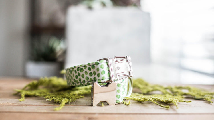 Dog Collar | St. Patties Dog Collar | St. Patrick's Dog Collar | Girl Dog Collar | Green Dog Collar | Boy Dog Collar | Gold Dog Collar