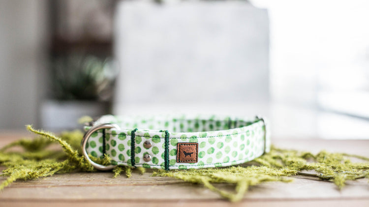 Dog Collar | St. Patties Dog Collar | St. Patrick's Dog Collar | Girl Dog Collar | Green Dog Collar | Boy Dog Collar | Gold Dog Collar