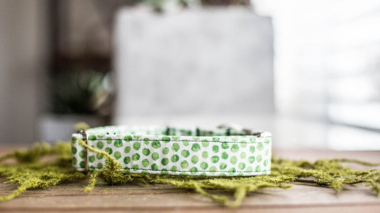 Dog Collar | St. Patties Dog Collar | St. Patrick's Dog Collar | Girl Dog Collar | Green Dog Collar | Boy Dog Collar | Gold Dog Collar