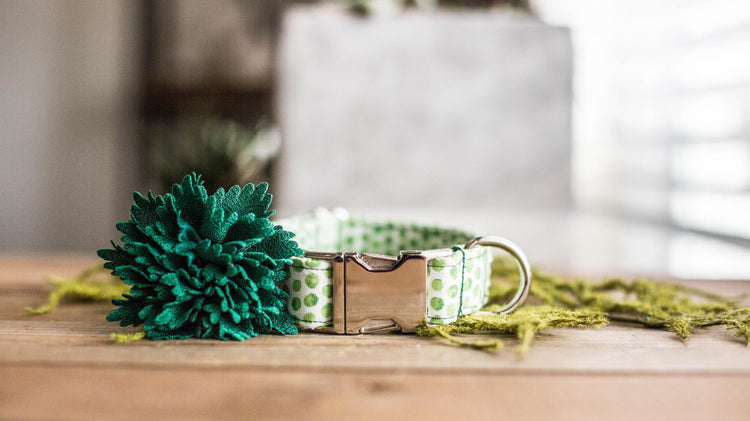 Dog Collar | St. Patties Dog Collar | St. Patrick's Dog Collar | Girl Dog Collar | Green Dog Collar | Boy Dog Collar | Gold Dog Collar