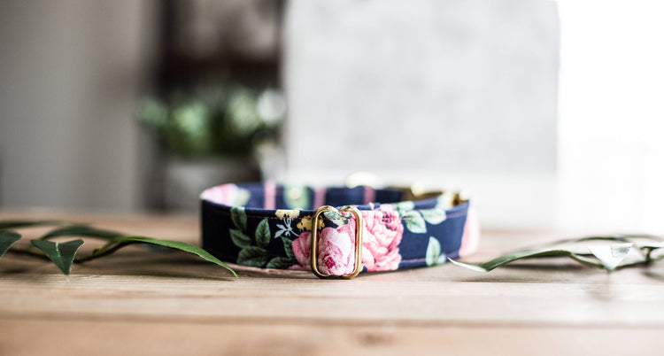 Trendy Dog Collar | Floral Dog Collar | Flower Dog Collar | Girly Dog Collar | Cat Collar | Girl Dog Collar | Female Dog Collar