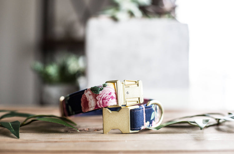 Trendy Dog Collar | Floral Dog Collar | Flower Dog Collar | Girly Dog Collar | Cat Collar | Girl Dog Collar | Female Dog Collar