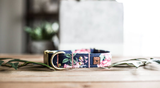 Trendy Dog Collar | Floral Dog Collar | Flower Dog Collar | Girly Dog Collar | Cat Collar | Girl Dog Collar | Female Dog Collar