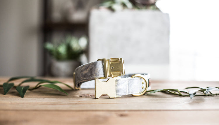 Dog Collar | Custom Dog Collar | Gray Dog Collar | Boy Dog Collar | Girl Dog Collar | Gold Dog Collar | Girl Dog Collar | Girly Dog Collar