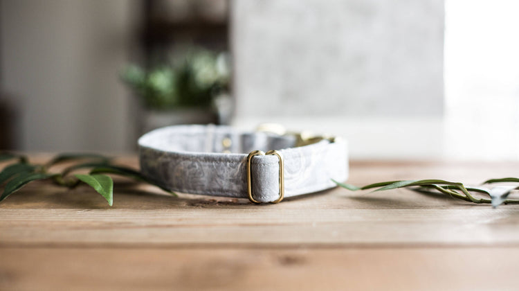 Dog Collar | Custom Dog Collar | Gray Dog Collar | Boy Dog Collar | Girl Dog Collar | Gold Dog Collar | Girl Dog Collar | Girly Dog Collar