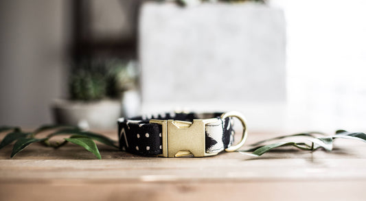 Trendy Dog Collar | Black and Gold Dog Collar | Dog Collar | Preppy Dog Collar | Pet Collar | Girl Dog Collar | Boy Dog Collar