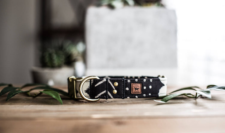 Trendy Dog Collar | Black and Gold Dog Collar | Dog Collar | Preppy Dog Collar | Pet Collar | Girl Dog Collar | Boy Dog Collar