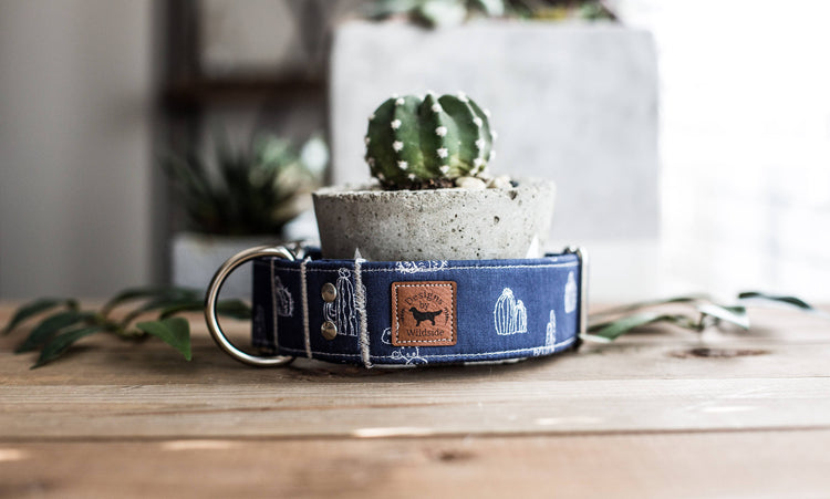 Dog Collar | Succulent Dog Collar | Cactus Dog Collar  | Collar Flower | Dog Collar Flower | Boy Dog Collar | Cat Collar | Puppy Collar