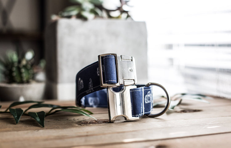Dog Collar | Succulent Dog Collar | Cactus Dog Collar  | Collar Flower | Dog Collar Flower | Boy Dog Collar | Cat Collar | Puppy Collar