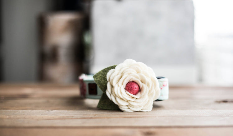 Dog Collar ,  Girl Dog Collar, Girly Dog Collar, Flower Dog Collar, Dog Collar Flower, Collar Flower, Pink Collar Flower