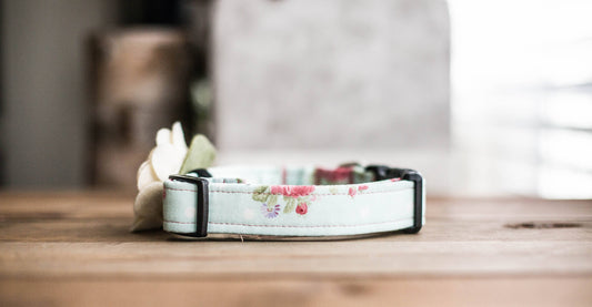 Dog Collar ,  Girl Dog Collar, Girly Dog Collar, Flower Dog Collar, Dog Collar Flower, Collar Flower, Pink Collar Flower